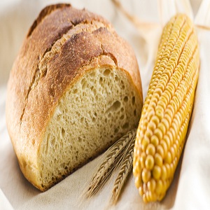 Close-up image of freshly baked corn bread with a golden-brown crust, accompanied by corn and wheat ears placed beside it. The bread’s dense and airy texture is highlighted, symbolizing the natural and wholesome qualities of traditional corn bread